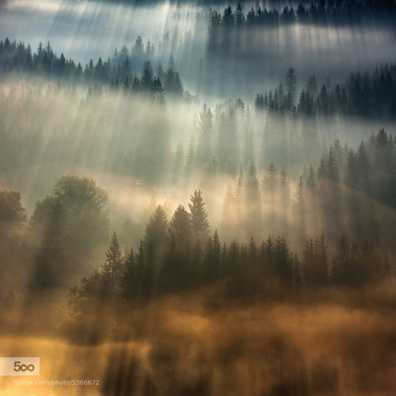 In the Morning Mists: Stunning Photography by Marcin Sobas 1