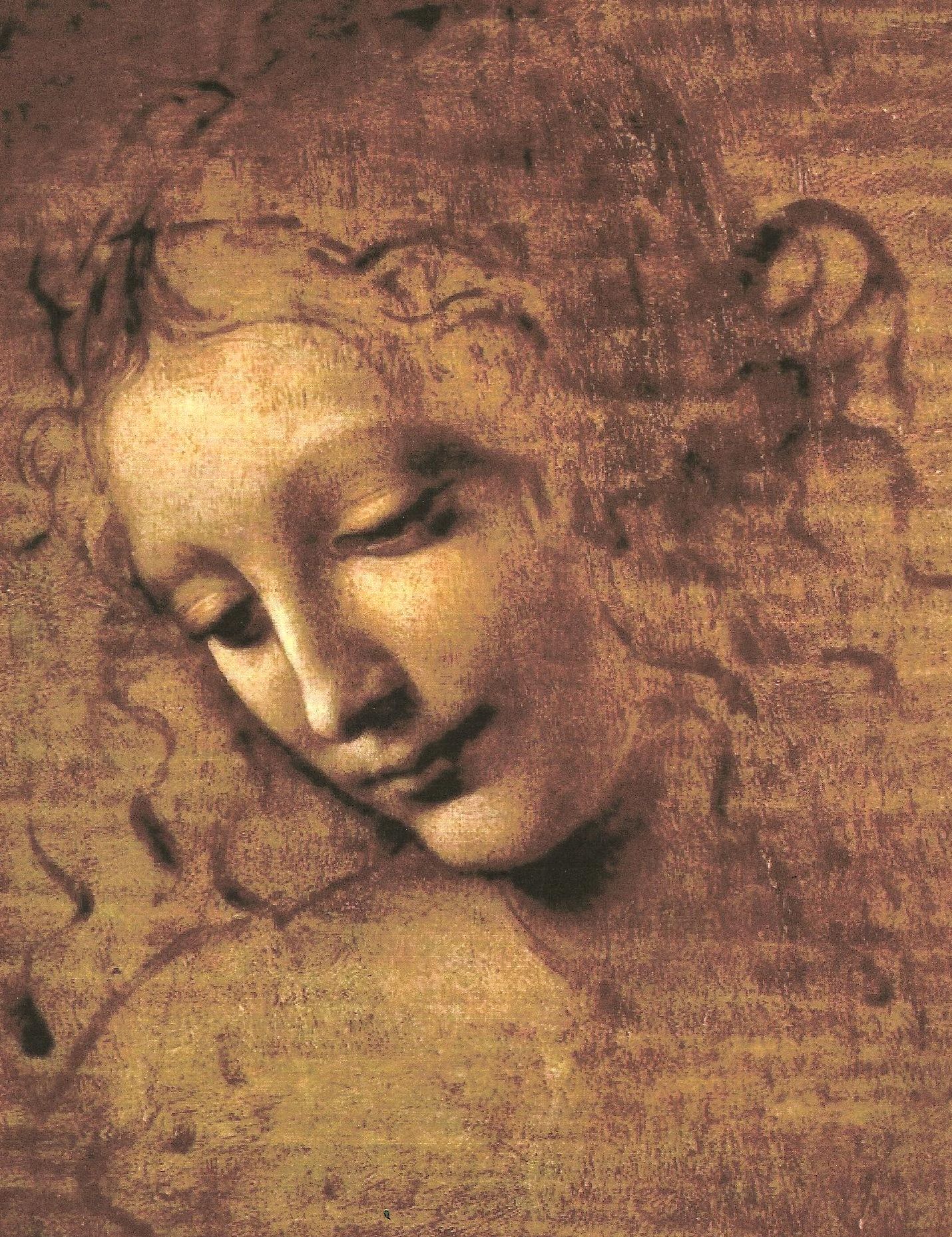 La Scapigliata by Leonardo Da Vinci, 1508