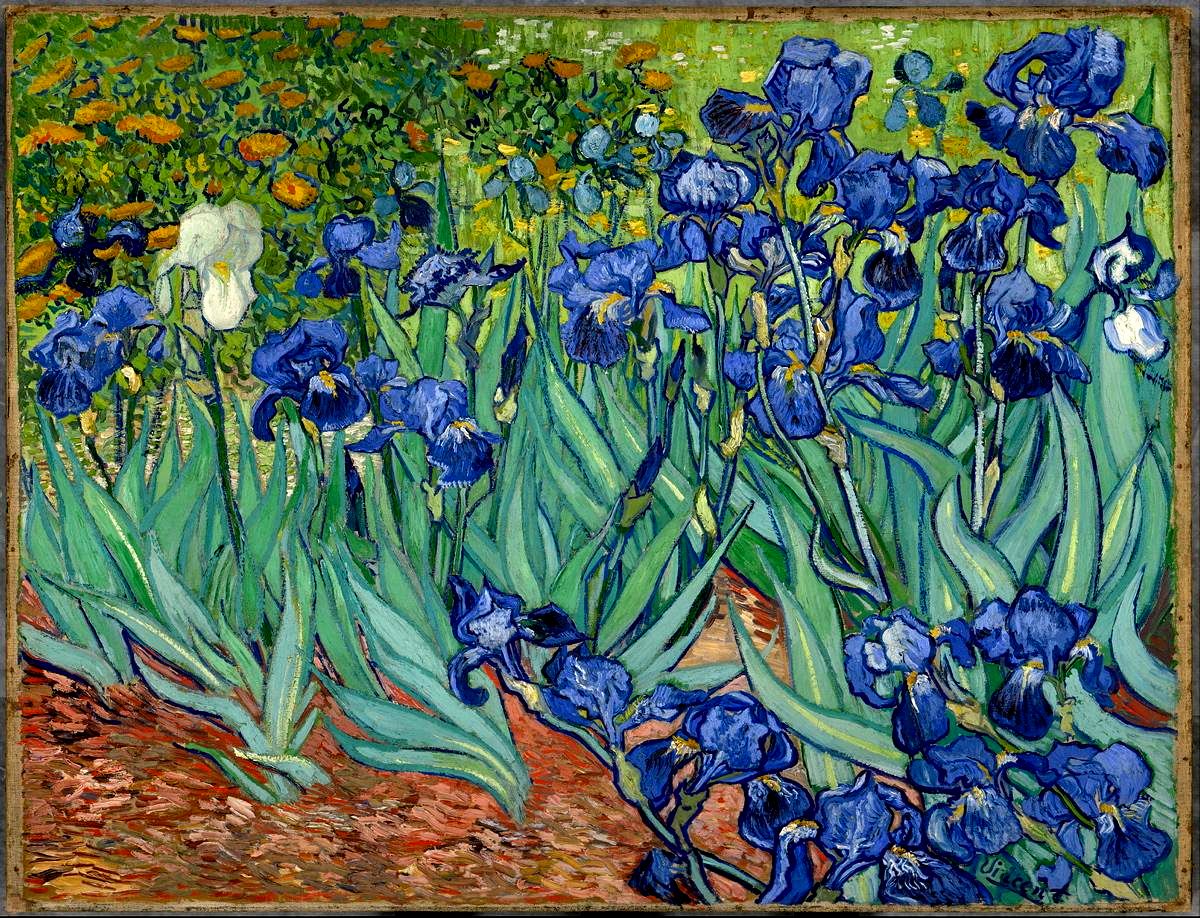 Irises, by Vincent van Gogh, 1889