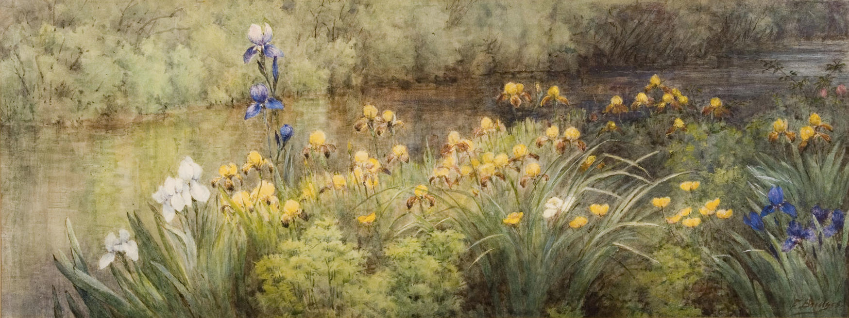 Irises along the River, by Fidelia Bridges, c. 1908