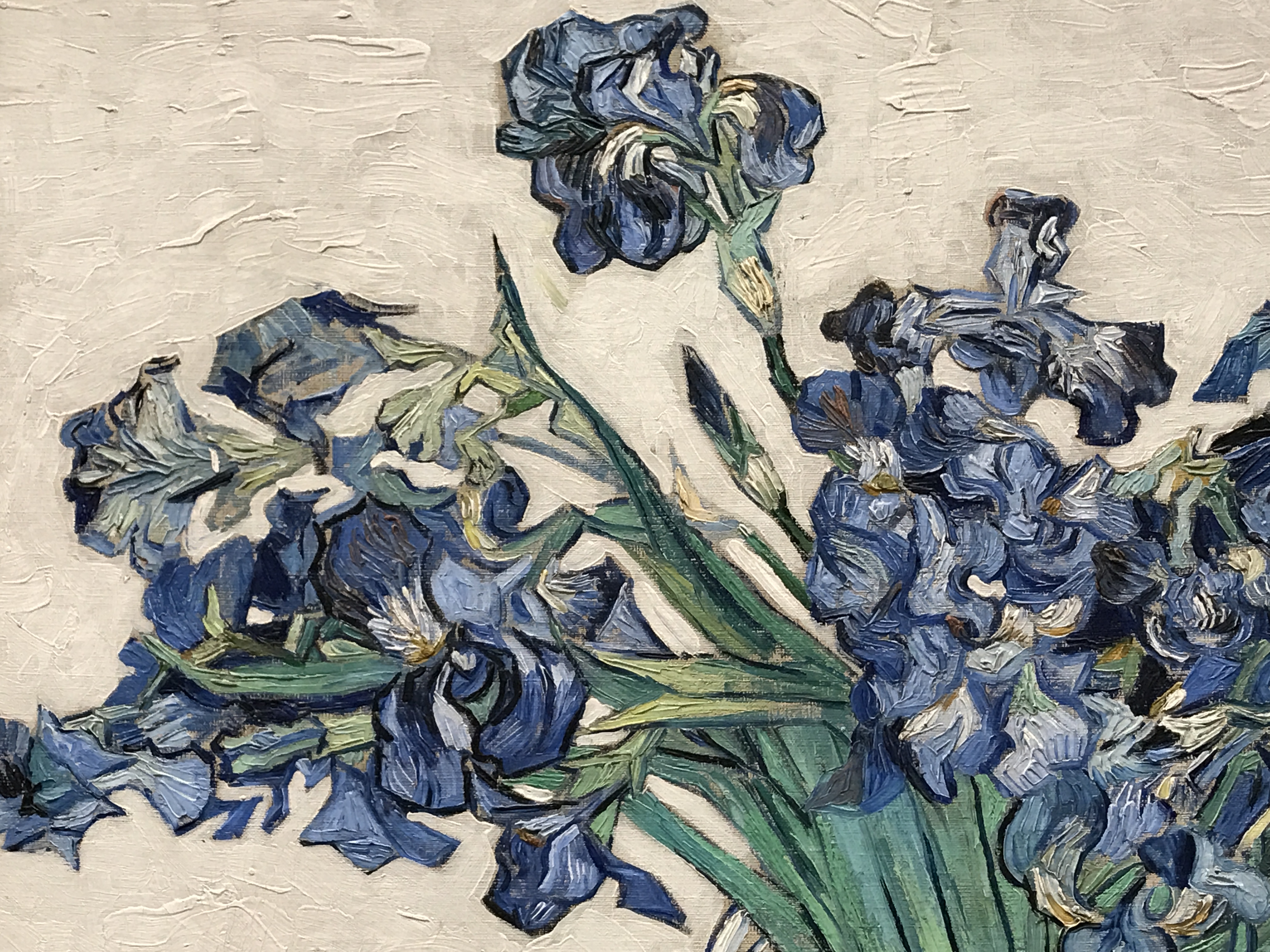 Irises, by Vincent Van Gogh, 1890